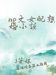 np文女配想离婚小说