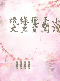 机缘猎手小说全文免费阅读无弹窗