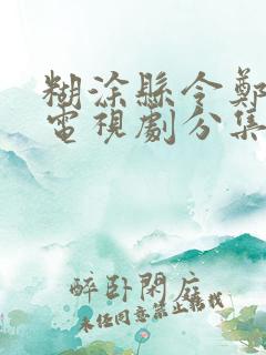 糊涂县令郑板桥电视剧分集剧情