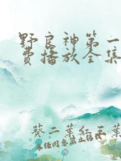 野良神第一季免费播放全集