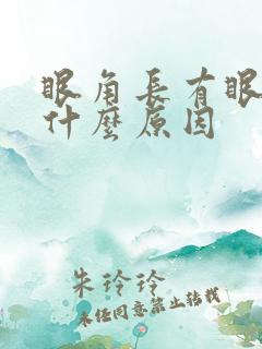 眼角长有眼屎是什么原因