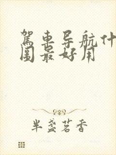 驾车导航什么地图最好用