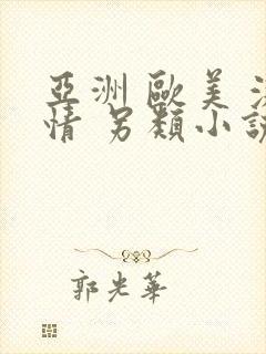 亚洲 欧美 激情 另类小说