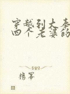 穿越到大奉娶了四个老婆的小说