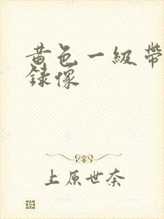 黄色一级带夫妻录像