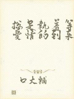 总是执着等待 爱情的到来是什么歌