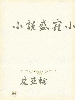 小说盛宠小萌妃