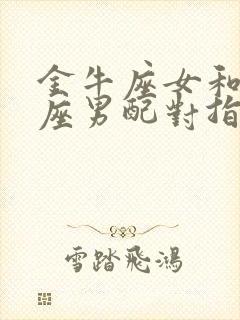 金牛座女和双子座男配对指数