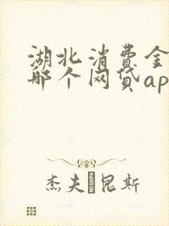 湖北消费金融是哪个网贷app