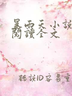 暴雨天小说免费阅读全文