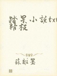 踏星小说txt精校