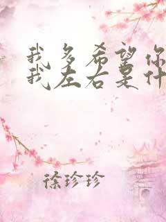 我多希望你陪在我左右是什么歌