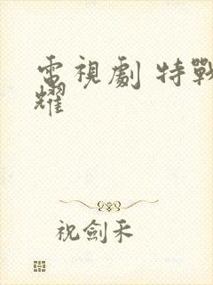 电视剧 特战荣耀