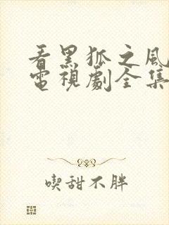 看黑狐之风影 电视剧全集