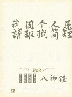 我因个人原因申请离职简短