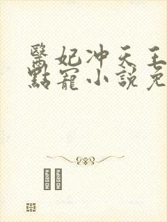 医妃冲天王爷轻点宠小说免费阅读