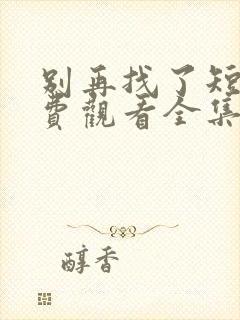 别再找了短剧免费观看全集