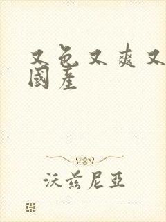 又色又爽又黄的国产