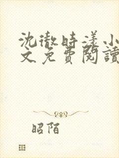 沈彻时漾小说全文免费阅读