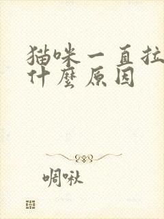 猫咪一直拉血是什么原因