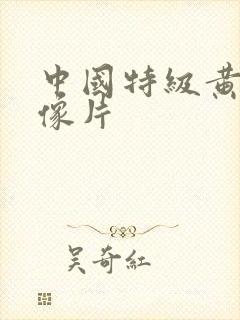 中国特级黄色录像片