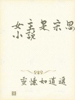 女主是宋思思的小说