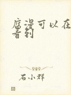 腐漫可以在哪里看到