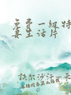 免费一级特黄夫妻生活片