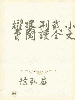 耀眼刑武小说免费阅读全文最新章节