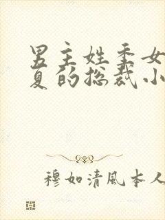 男主姓季女主姓夏的总裁小说