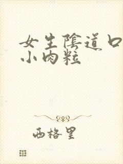 女生阴道口痒长小肉粒