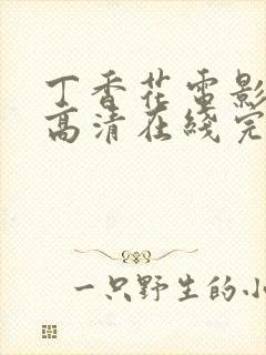 丁香花电影免费高清在线完整版