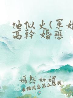 他似火(军婚 高干 婚恋