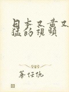 日本又黄又爽又猛的视频