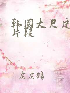 韩国大尺度床戏片段