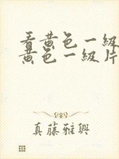 看黄色一级片看黄色一级片