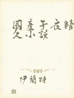 国产午夜精品久久小说