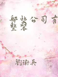 哪些公司有全屋整装