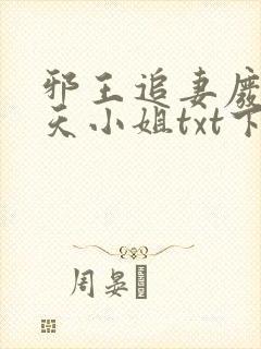 邪王追妻废材逆天小姐txt下载