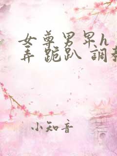 女尊男卑h 玩弄 跪趴 调教