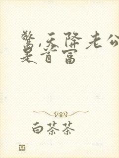 惊,天降老公竟是首富