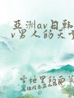 亚洲av日韩av男人的天堂在线