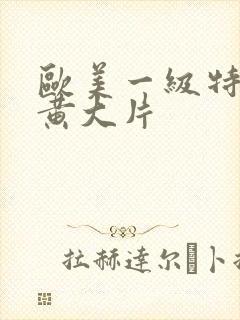 欧美一级特黄特黄大片