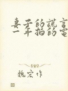 妻子的谎言是哪一年拍的电视剧