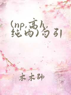 (np,高h,纯肉)勾引