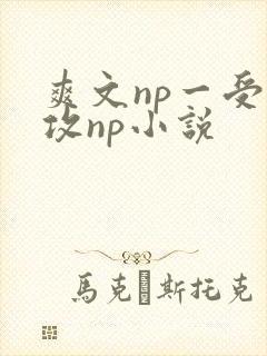 爽文np一受多攻np小说