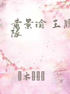 黄景瑜 王牌部队