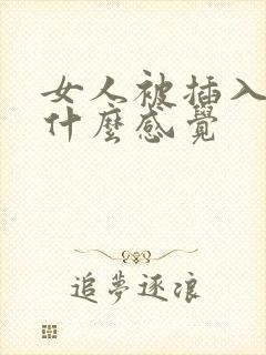 女人被插入时是什么感觉