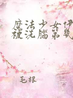 魔法少女伊莉雅被洗脑第几集