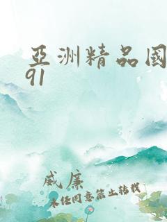 亚洲精品国产久91